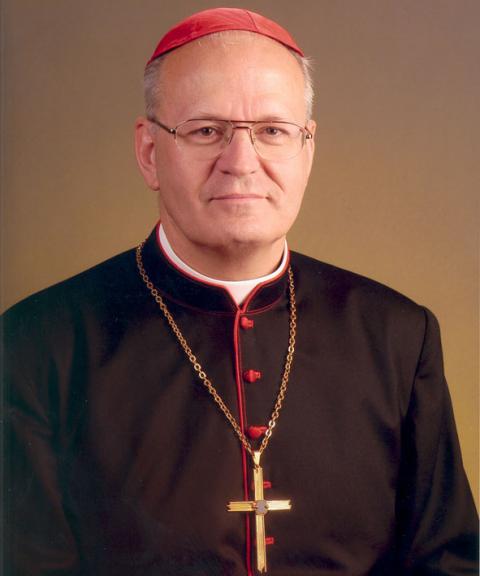 Dr. Erdő Péter bíboros
